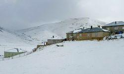 Van Başkale’de kar yağışı etkili oldu