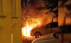 Batman'da park halindeki otomobil alev aldı