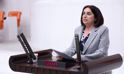 DEM Partili vekilden Diyarbakır için korkutan rapor!