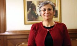 DEM'li vekilden cezaevindeki Leyla Güven vurgusu