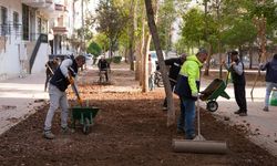 Diyarbakır Bağlar'da parklar yenileniyor