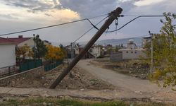 Diyarbakır Dicle'de ‘eğri direk’ isyanı!