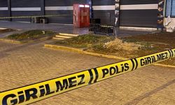 Diyarbakır'da baba ve oğlunun öldüğü olayda çok sayıda tutuklama