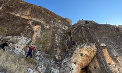 Diyarbakır’da keçi kurtarma operasyonu