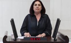 Diyarbakır vekili tutuklu üniversite öğrencilerini Meclis’e taşıdı