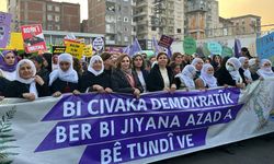 Diyarbakır’da 25 Kasım yürüyüşü başladı