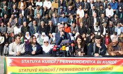 Diyarbakır’da 750 kurum, Kürtçeyle ilgili taleplerini sıraladı