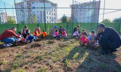 Diyarbakır'da anaokulu öğrencileri tohum toplarını doğa ile buluşturuyor