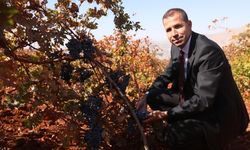 Diyarbakır’da bağcılığa hibe desteği