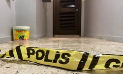 Diyarbakır’da bir şahıs annesini ve ağabeyini yataklarında öldürdü