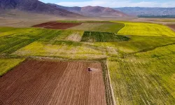 Diyarbakır'da Büyük Alan Satışa Çıktı: Mahkeme Resmen Bu Fiyatı Belirledi