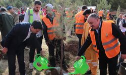 Diyarbakır’da DEPSAŞ enerji makam dağına 3 bin fidan dikti