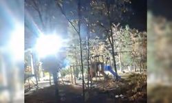 Diyarbakır’da elektrik hattı patladı