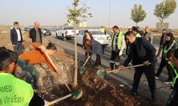 Diyarbakır’da eşbaşkanlar ağaç dikti