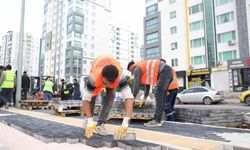 Diyarbakır'da eşbaşkanlardan inceleme