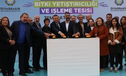 Diyarbakır’da ilk! 14 bin metrekarede tıbbi ve aromatik bitki bahçesi kurulacak