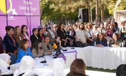 Diyarbakır’da kadın örgütlerinden 25 Kasım açıklaması