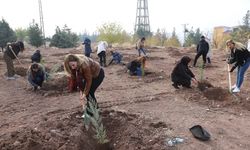 Diyarbakır'da kadın şiddetine fidan dikerek dikkat çektiler