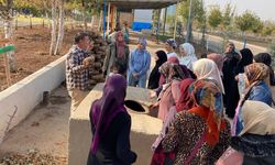 Diyarbakır’da kadınlara, aromatik bitkiler tanıtılıyor