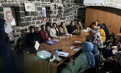 Diyarbakır’da kadınlara şiddet türleri ve önlemleri anlatıldı