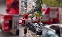 Diyarbakır’da kedi kurtarma operasyonu