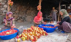 Diyarbakır’da nar ekşisi mesaisi başladı
