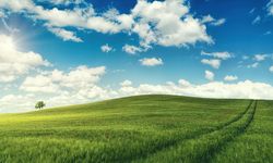 Diyarbakır'da şaşırtan satış: 17 dönüm alan için resmen bu fiyat istendi