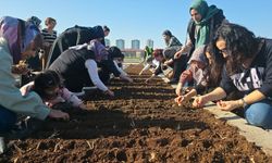 Diyarbakır’da tıbbi ve aromatik bitki tohumları toprakla buluştu
