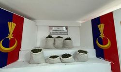 Diyarbakır'da zahir tacirlerine baskın