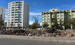 Diyarbakır’daki refüj odunluğa döndü