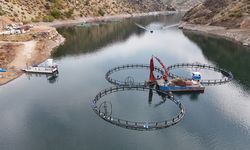 Diyarbakır'dan, dünyaya "Mezopotamya somonu" gönderilecek