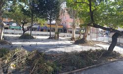 Diyarbakır’dan Hatay’a dayanışma köprüsü