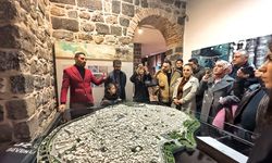 Diyarbakır’dan önemli çağrı: Sayı 21’e çıkarılsın