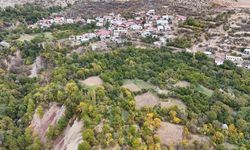 Diyarbakır’ın bu köyünde tropikal meyve yetişiyor