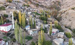 Diyarbakır'ın o ilçesinde eşek olmazsa hayat yok!