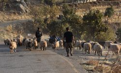 Göçerlerin yaylalardan kışlaklara yolculuğu