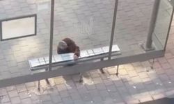 Mardin'de, yolcular üşümesin diye durağı halıyla kapladı