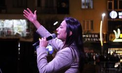 Hatimoğulları: Komisyonun acilen İmralı’ya gitmeli