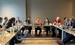 Komisyon üyeleri Dublin'de İrlanda modelini araştırdı