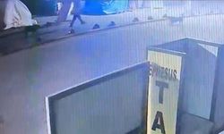 Kendisine saldıran sokak köpeğini silahla vuran kişi serbest bırakıldı