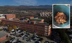 Topladığı mantarlarla zehirlenen kişi yoğun bakıma alındı