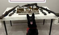 Mardin'de çok sayıda silah ve mühimmat ele geçirildi