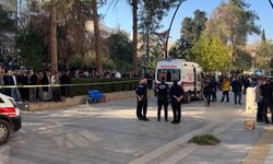 Mardin'de sopalı kavgada ortalık savaş alanına döndü: 1'i ağır 3 yaralı