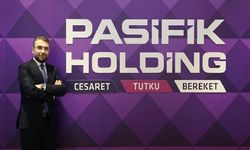 PAHOL Hisse Ne Kadar Verir, Kaç Lot Düşer: Pahalı mı, Ucuz mu?