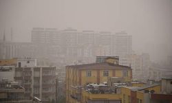 Şanlıurfa'da toz taşınımı etkili oldu
