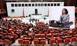 Diyarbakırlılar illallah etmişti: Meclis’te yankılandı