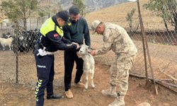 Siirt'te ilk kez uygulandı