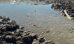 Balıkları yaşatmak için gölete 150 tonluk su takviyesi