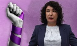 DEM Parti Kadın Sözcüsü Ekspres'e konuştu: Direniş ve mücadeleyle geçen bir yıl