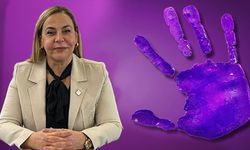 CHP'li Güler Koçyiğit’ten 25 Kasım mesajı: Şiddete karşı mutlaka kazanacağız